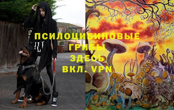 молекула духа Алексеевка