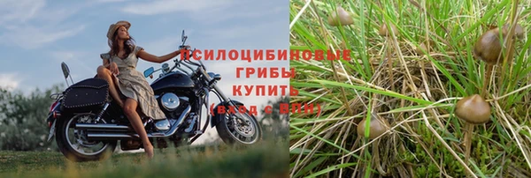 Альфа ПВП Алзамай