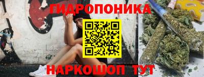 прущие грибы Краснодар